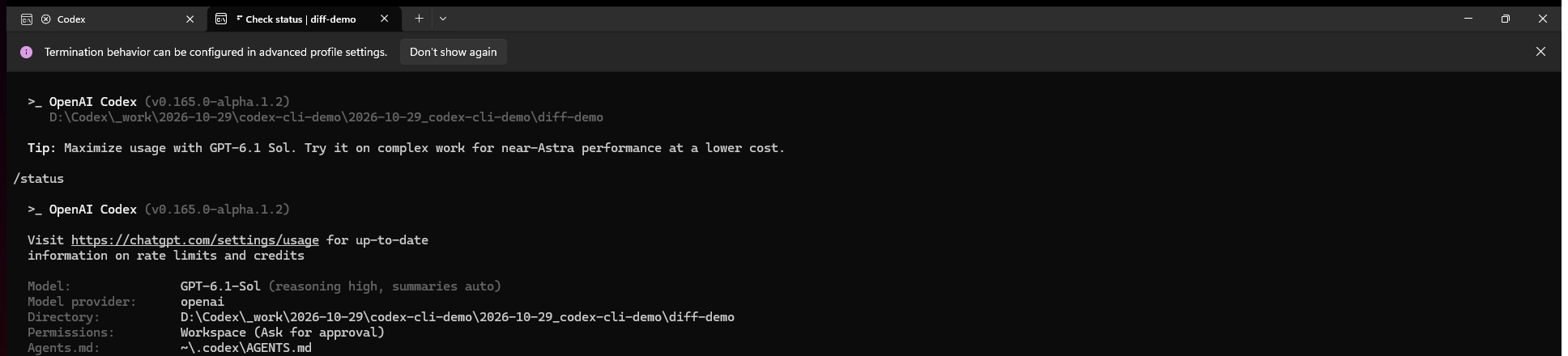 Codex CLI status output showing the active model, demo directory and workspace permission